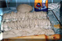 S-pain1.jpg (47625 octets)