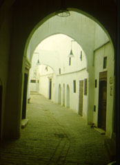 837.jpg (9788 bytes)